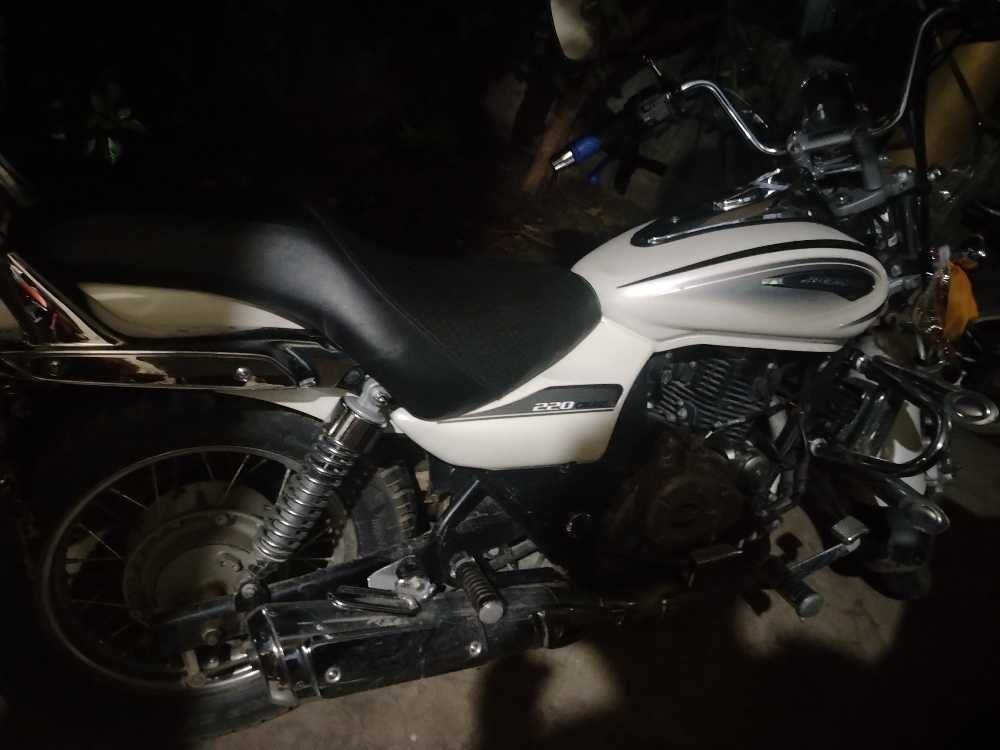 2022 Bajaj Avenger 220, photo 3