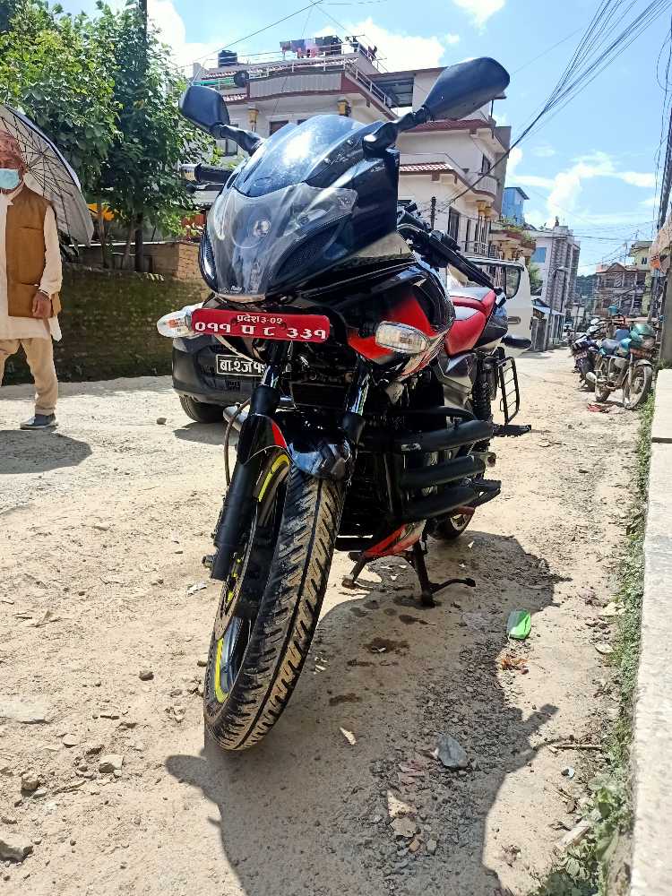 2019 Bajaj Plusar 220, photo 2