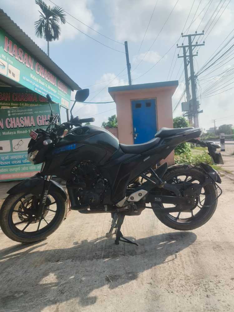 2017 Yamaha FZ 25, photo 4