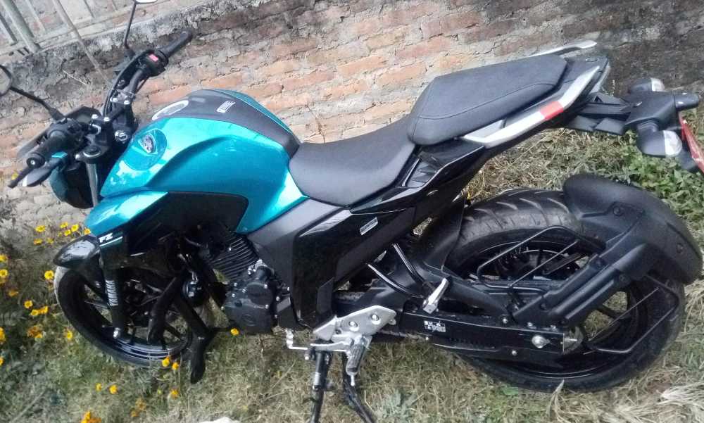 2018 Yamaha FZ 25, photo 5