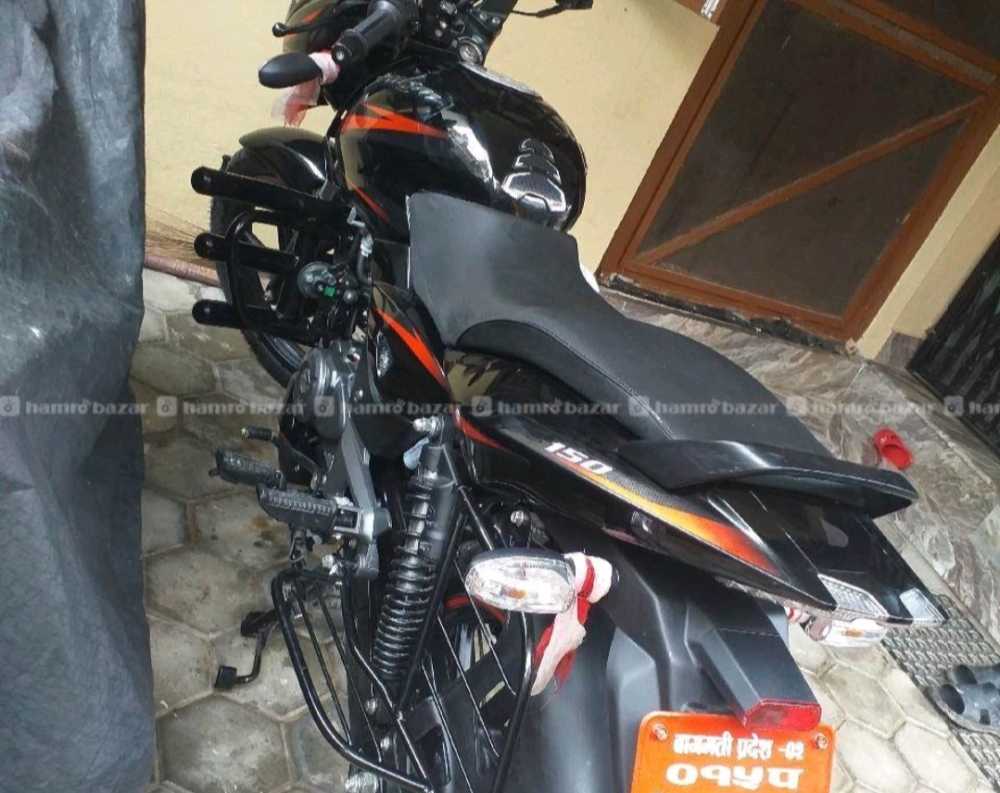 2020 Bajaj Plusar 150, photo 3