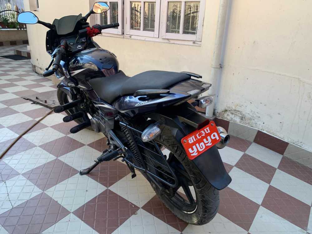 2019 Bajaj Plusar 150, photo 3