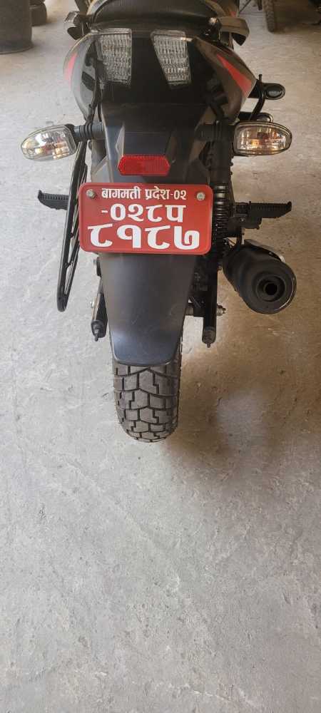 2021 Bajaj Plusar 150, photo 3