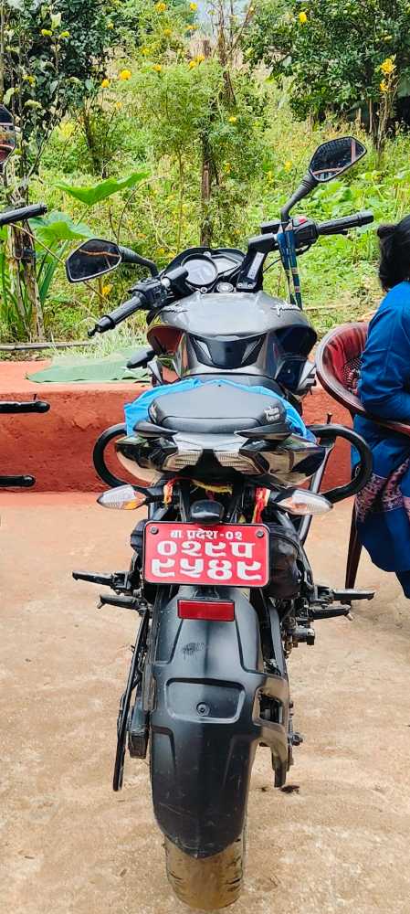2021 Bajaj NS 200, photo 4