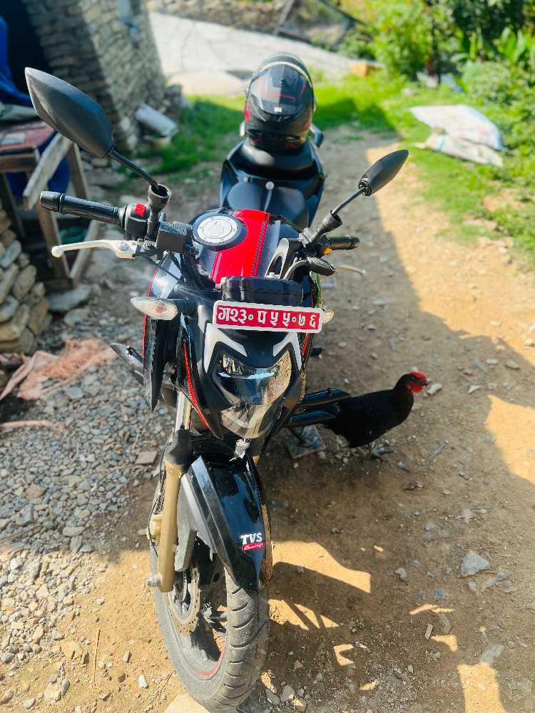 2020 TVS Apache RTR 160, photo 2