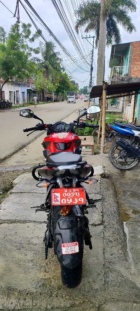 2020 Bajaj NS 200, photo 4