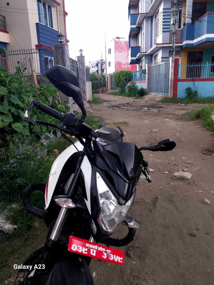 2022 Bajaj NS 200, photo 2