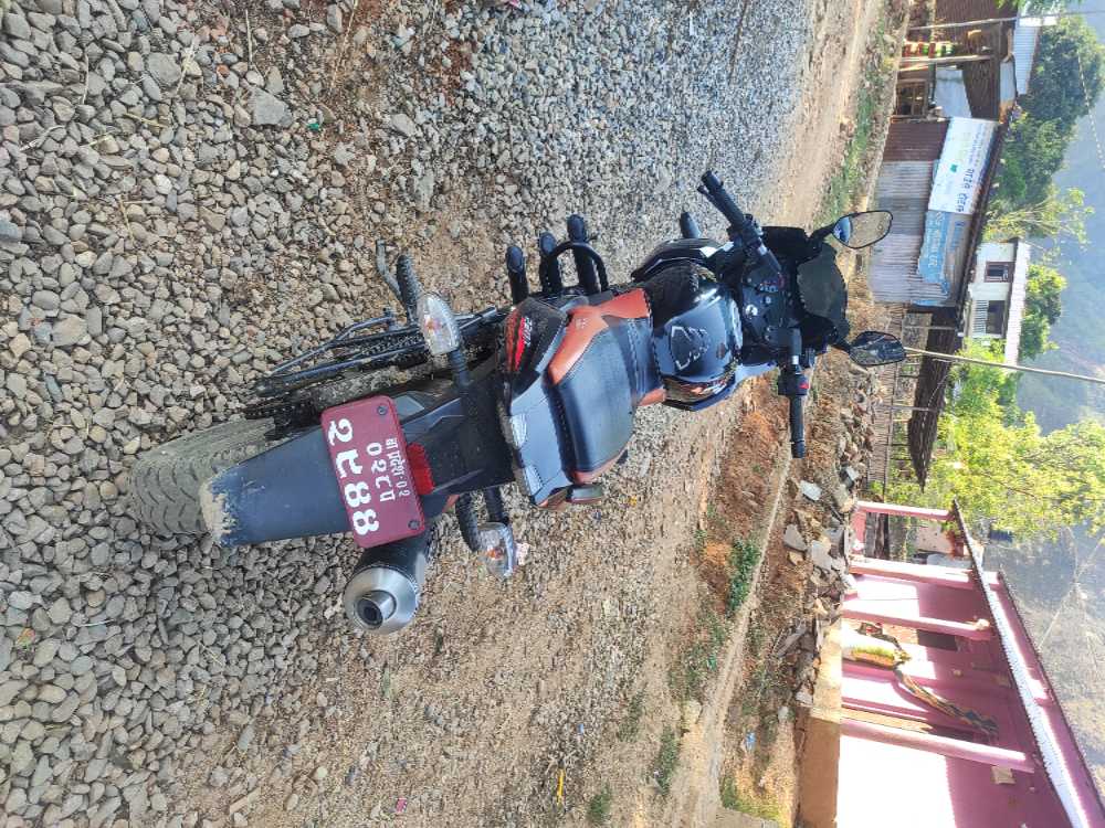 2021 Bajaj Plusar 220, photo 2
