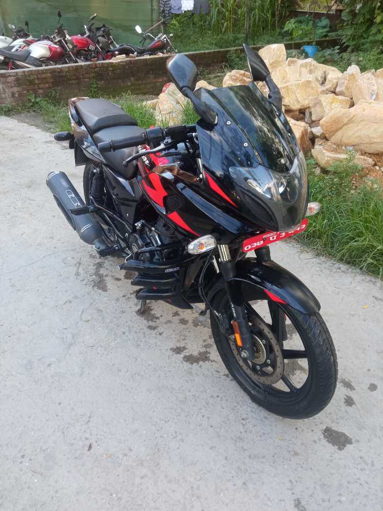2022 Bajaj Plusar 220, photo 2
