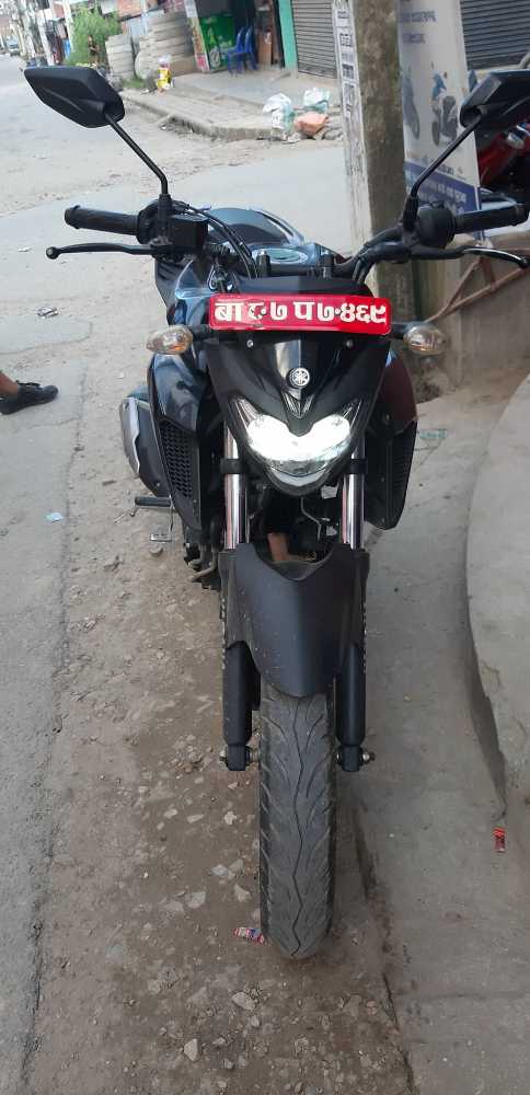 2017 Yamaha FZ 25, photo 2