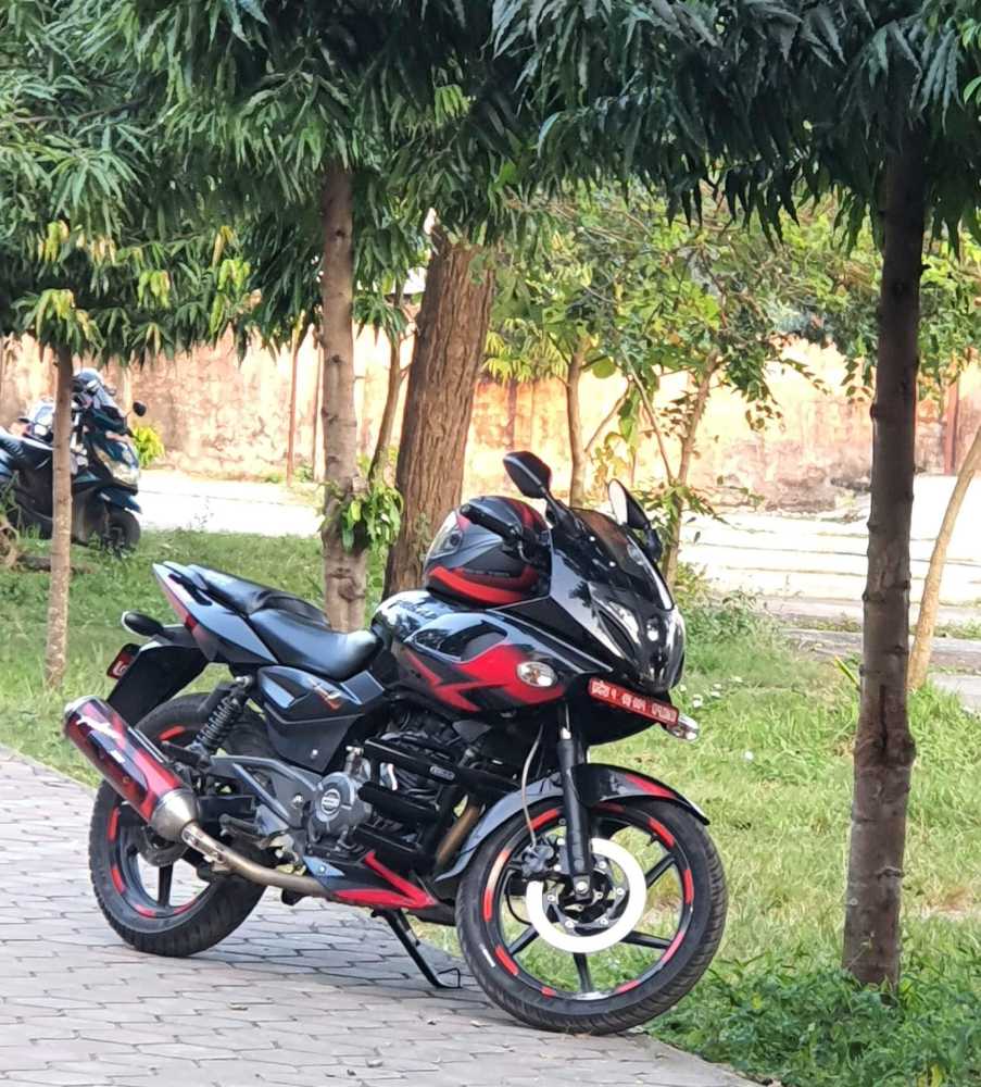 2020 Bajaj Plusar 220, photo 2