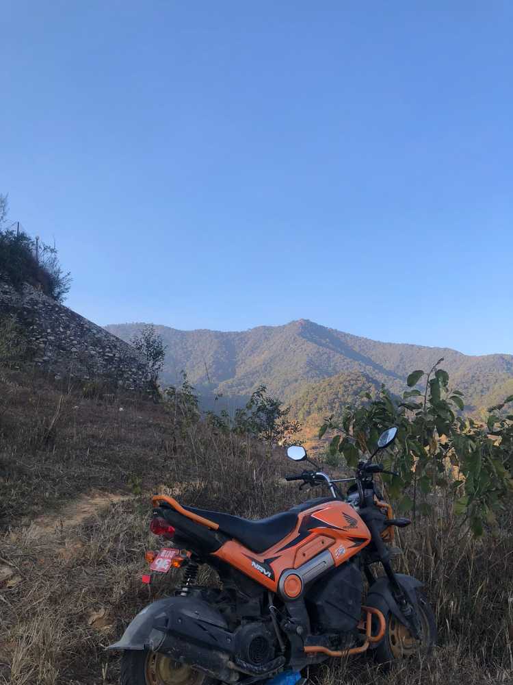 2016 Honda Navi, photo 4