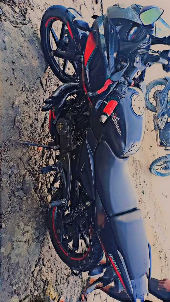 2019 Bajaj Plusar 220
