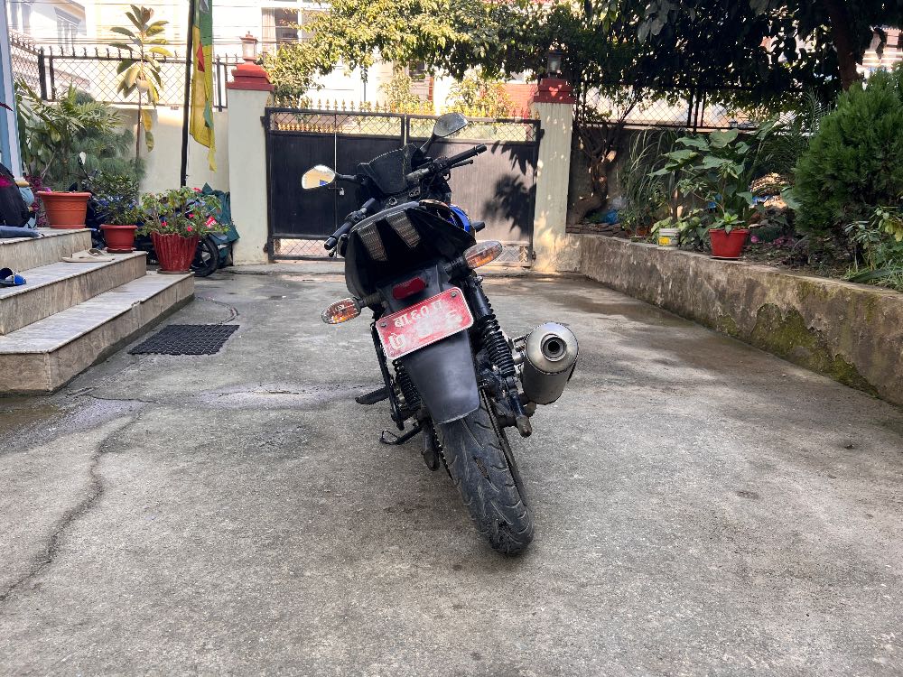 2013 Bajaj Plusar 220, photo 4