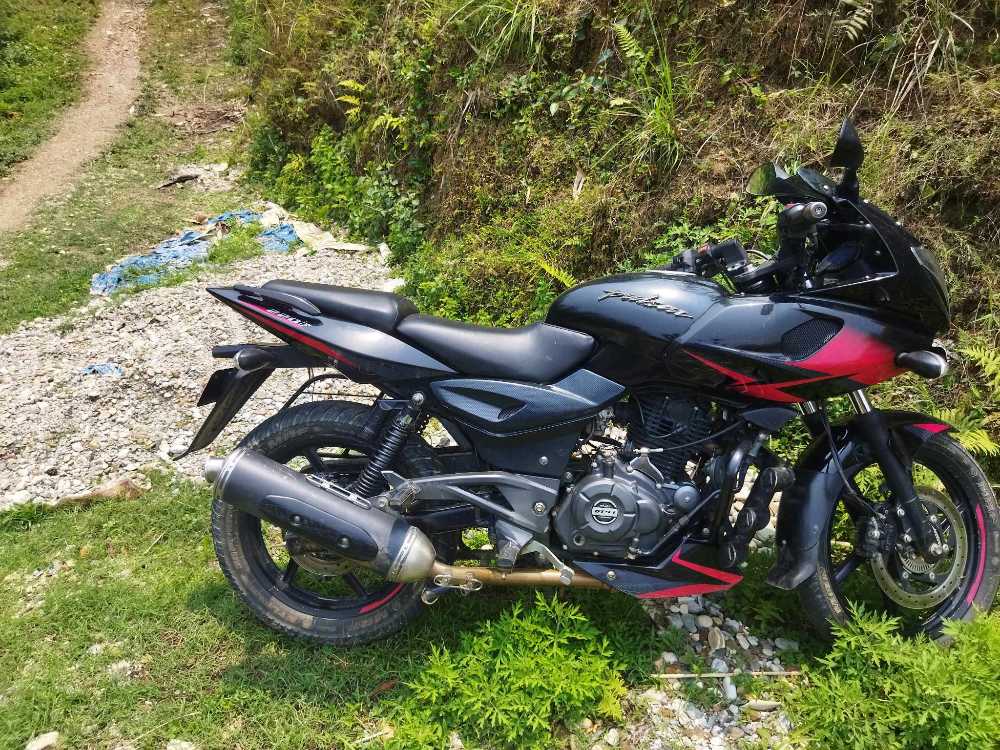 2020 Bajaj Plusar 220, photo 2