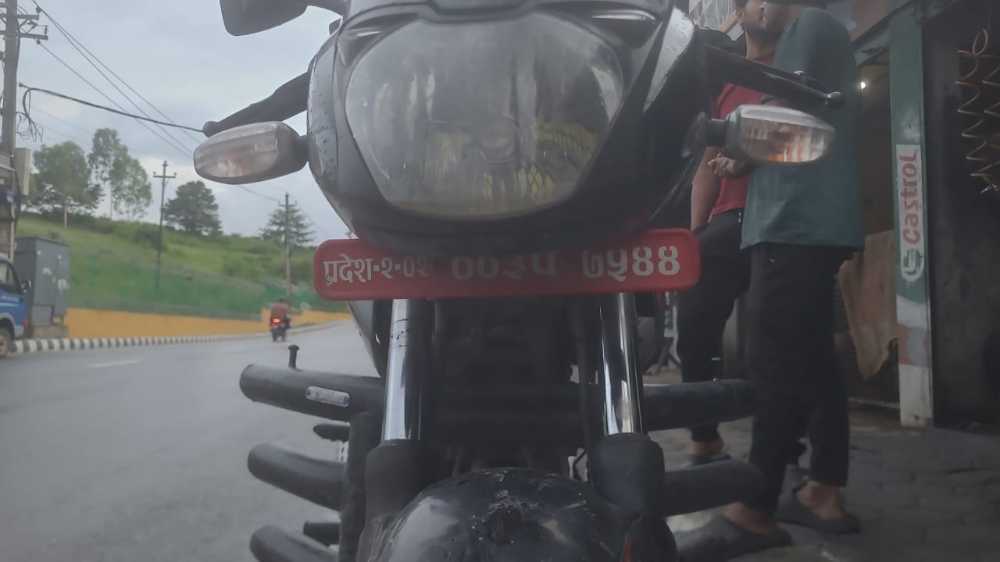 2018 Bajaj Plusar 150, photo 2
