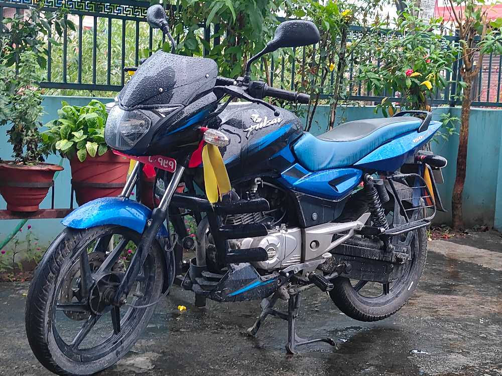 2017 Bajaj Plusar 150, photo 2