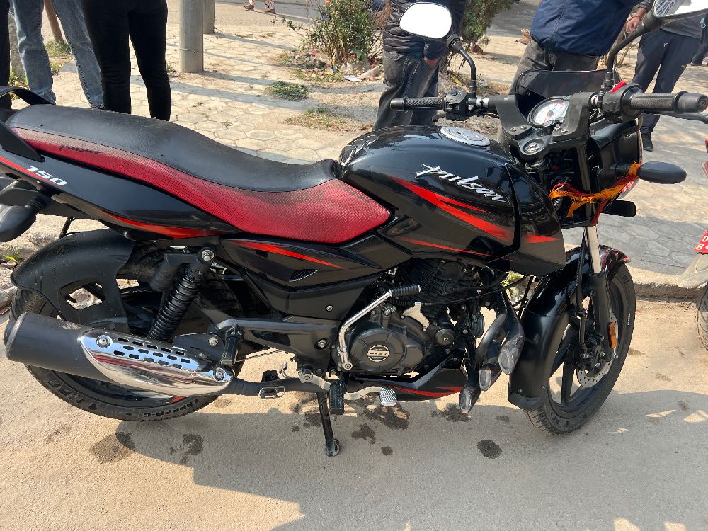 2020 Bajaj Plusar 150, photo 2