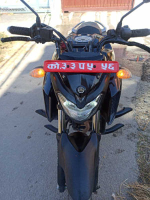 2018 Yamaha FZ 25, photo 3