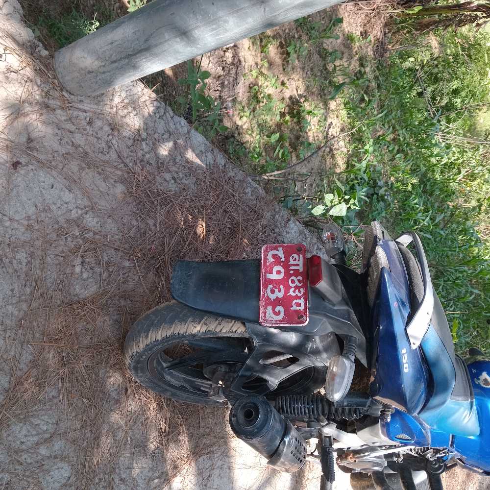 2010 Bajaj Plusar 150, photo 2