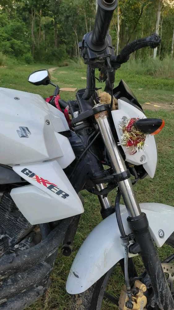 2014 Suzuki Gixxer 150, photo 2