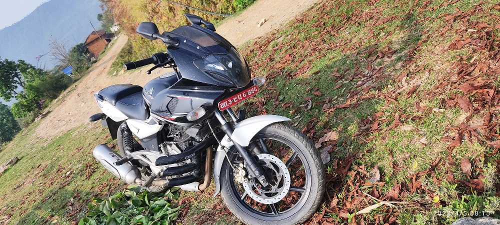 2016 Bajaj Plusar 220, photo 4