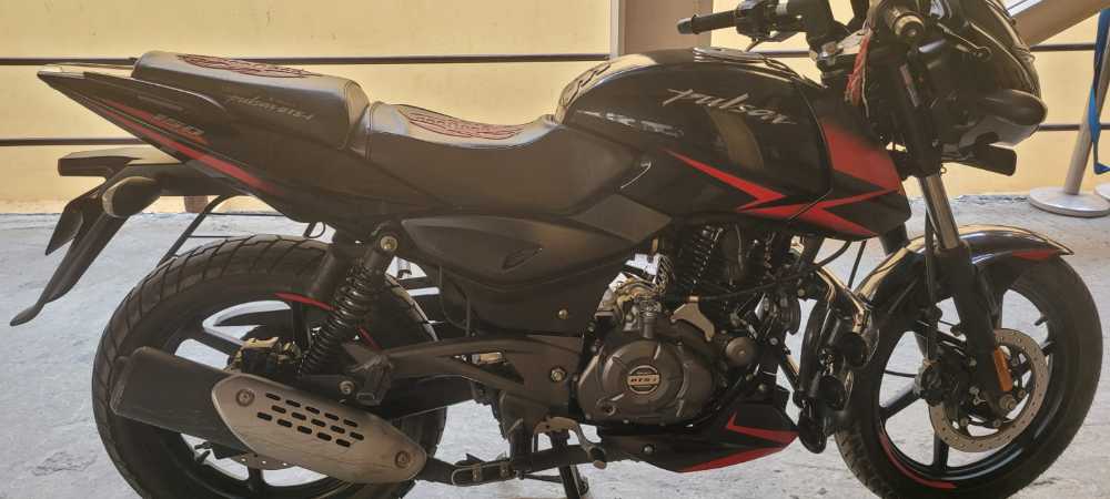 2021 Bajaj Plusar 150, photo 4