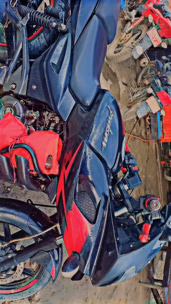 2019 Bajaj Plusar 220, photo 2