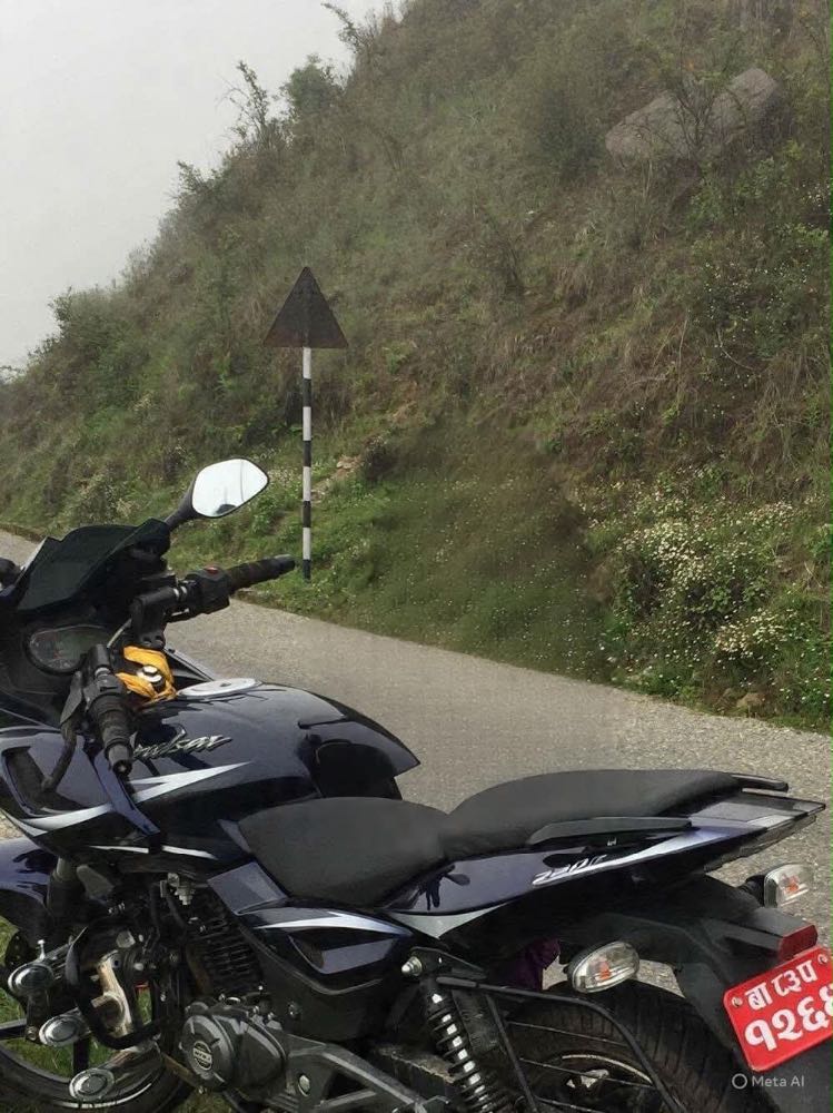 2016 Bajaj Plusar 220, photo 2