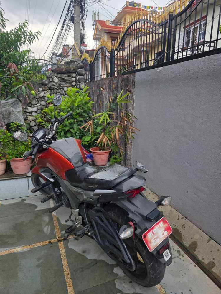 2016 Honda CB Hornet, photo 2