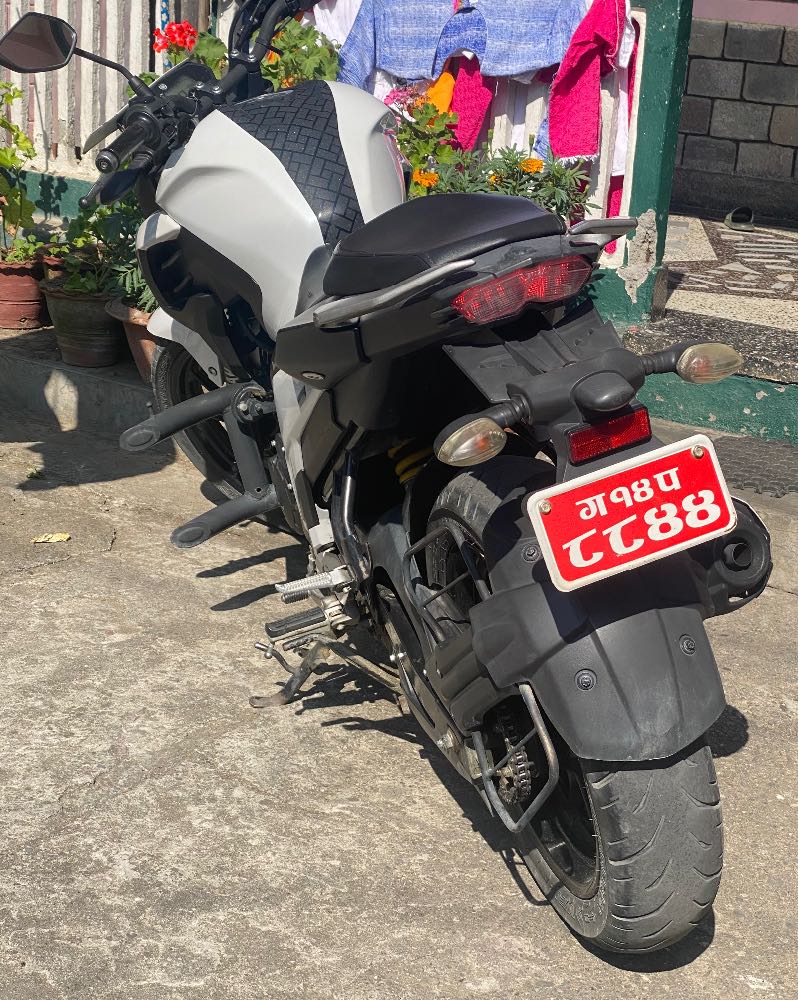 2017 Yamaha FZ 25, photo 2