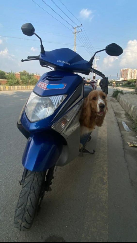 2011 Honda Dio