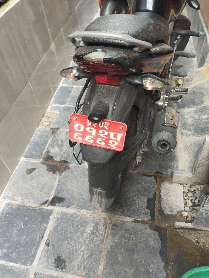 2019 Bajaj Plusar 150, photo 3