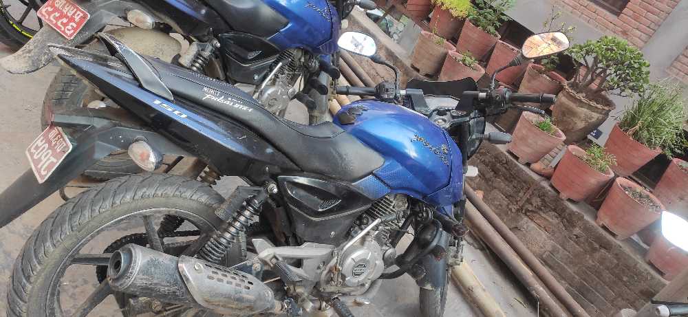 2014 Bajaj Plusar 150, photo 3