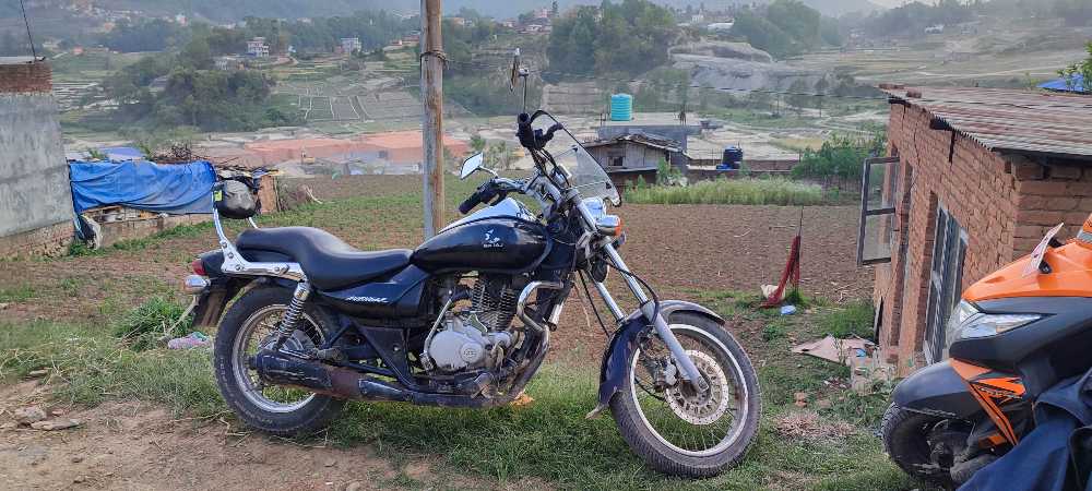 2006 Bajaj Avenger 180, photo 3