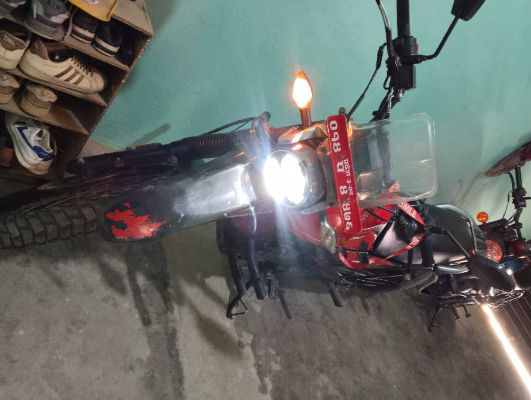 2020 Hero XPulse 200, photo 4