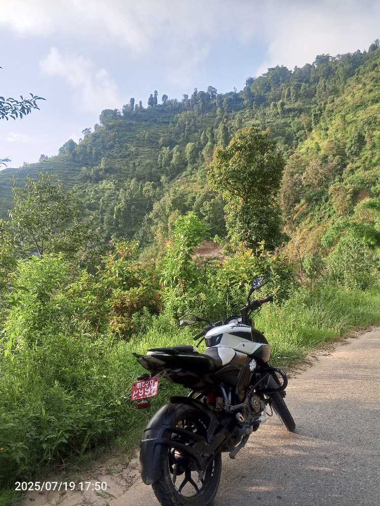 2017 Bajaj NS 160