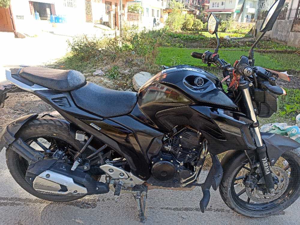 2018 Yamaha FZ 25, photo 2