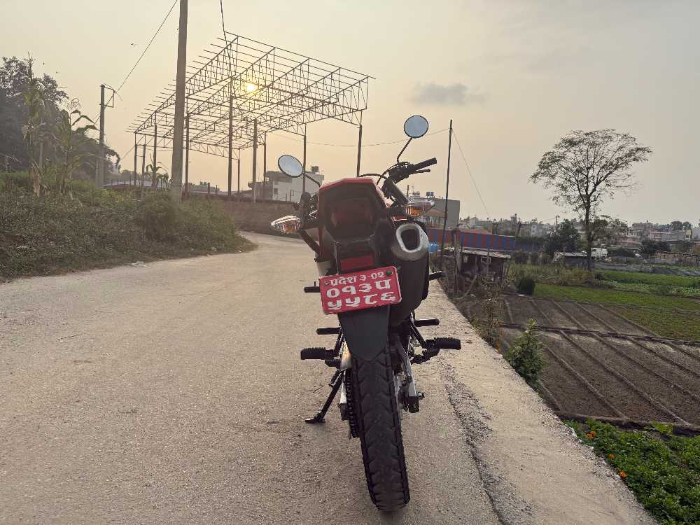 2019 Honda Activa 110, photo 3