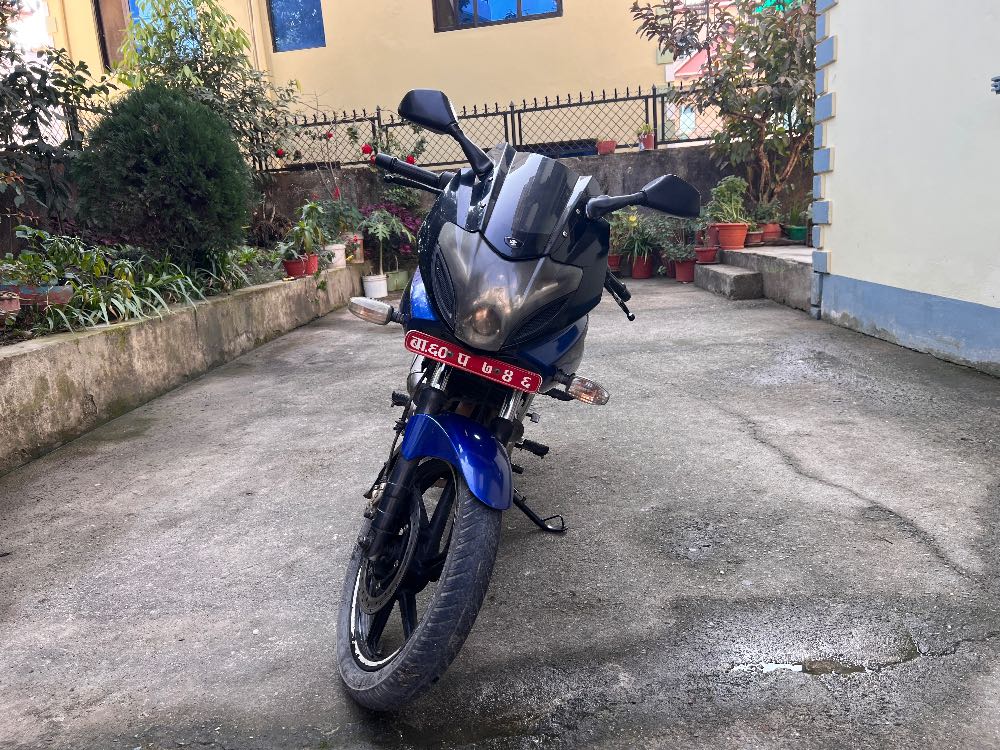 2013 Bajaj Plusar 220, photo 2