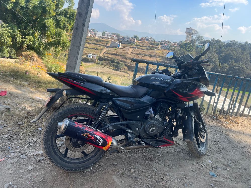 2019 Bajaj Plusar 220, photo 2