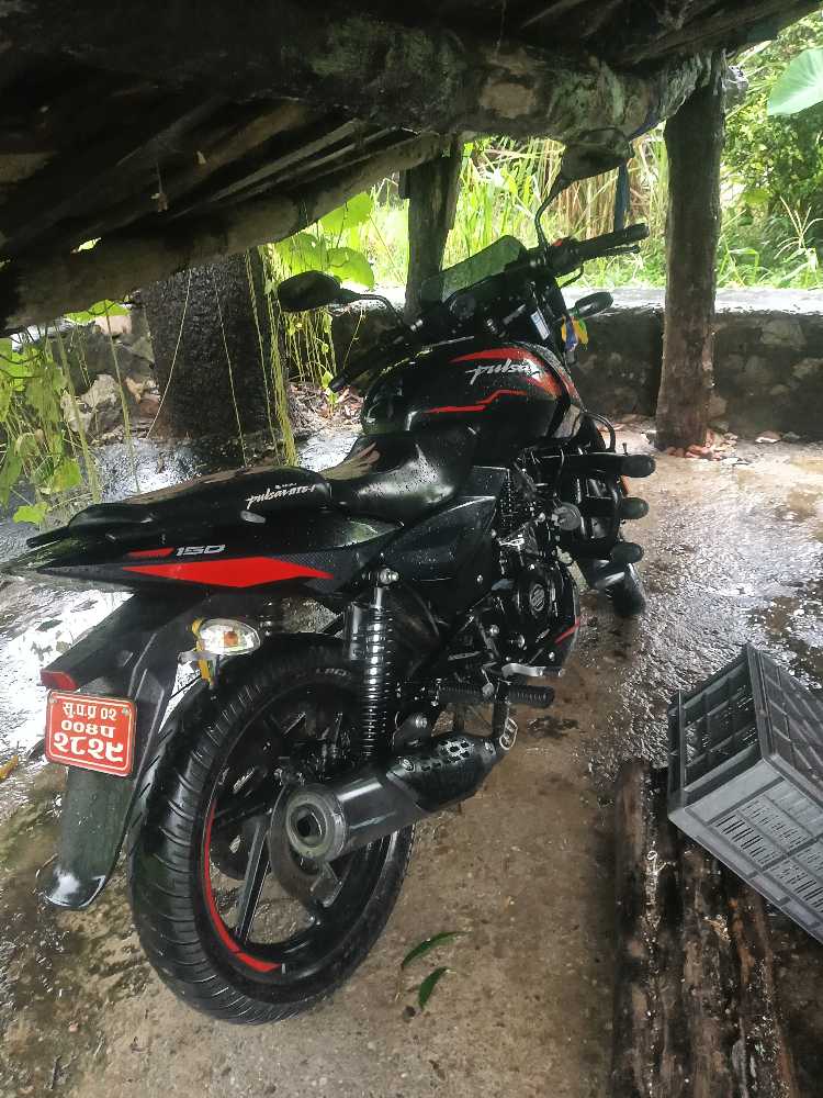 2023 Bajaj Plusar 150