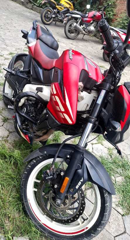 2022 Bajaj NS 200, photo 6