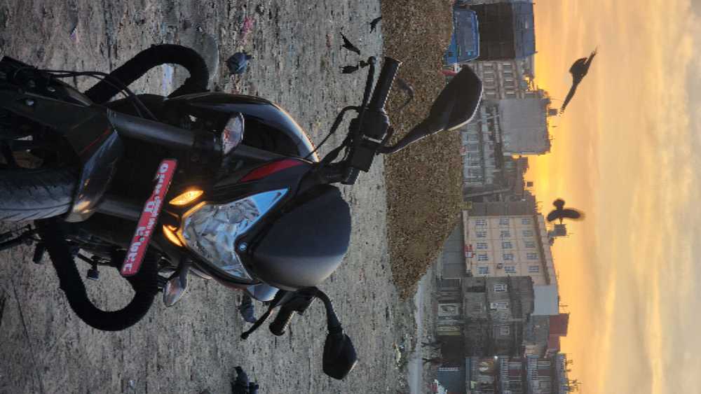 2020 Bajaj NS 200, photo 3